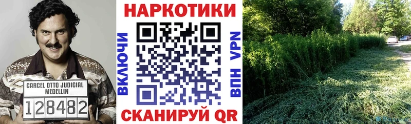 Купить наркотики сайты Сельцо КОКАИН  Alpha PVP  Каннабис  Меф мяу мяу 