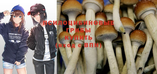 прущая мука Нея