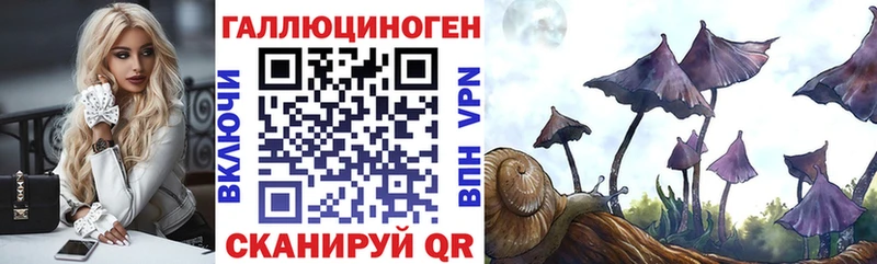 mega   Сельцо  Псилоцибиновые грибы прущие грибы 